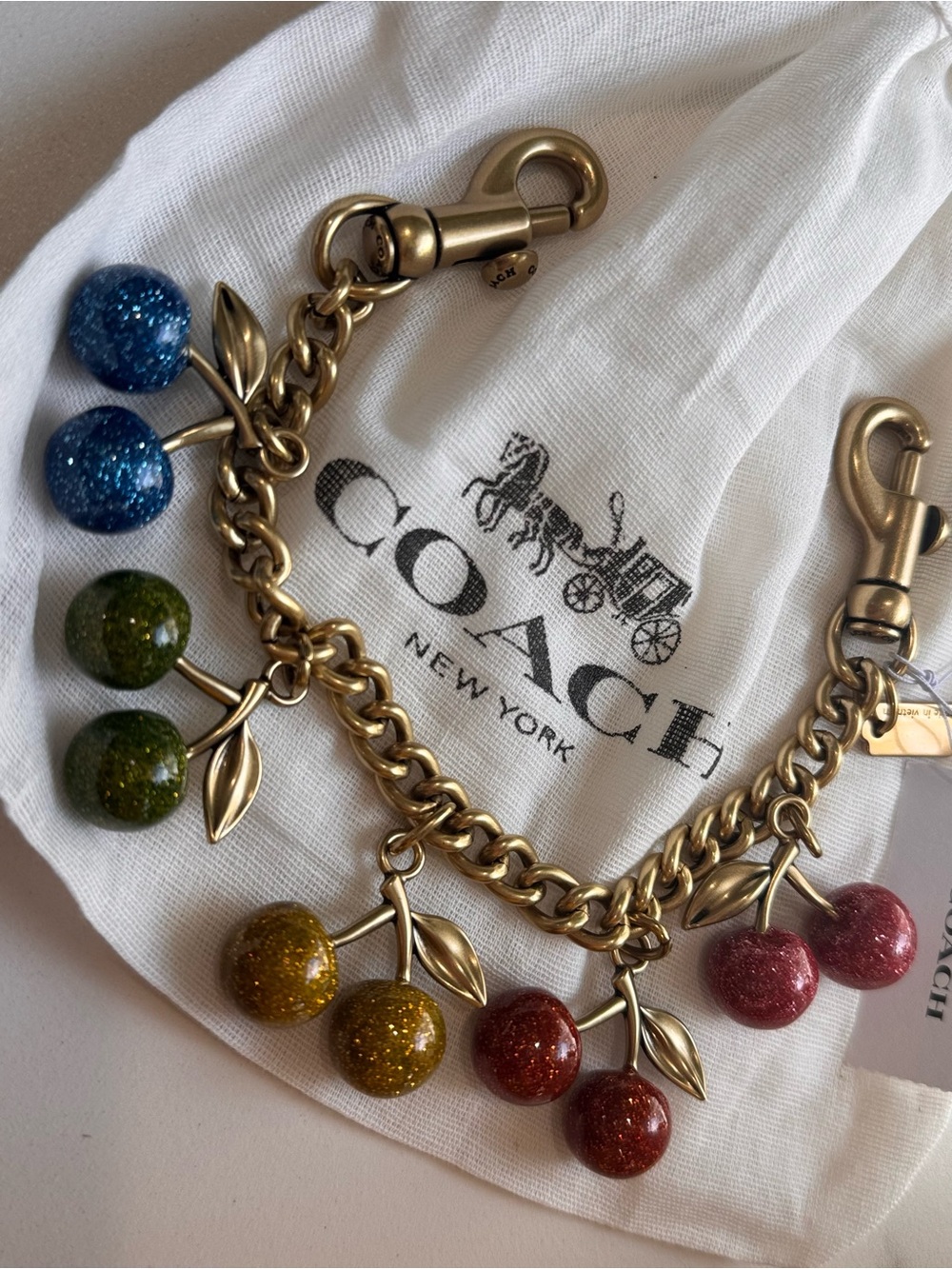 COACH Rainbow 🌈 Cherry Chain Charm with Multicolor Glitter Cherries